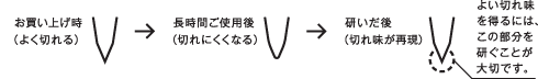 庖丁の刃先の拡大図